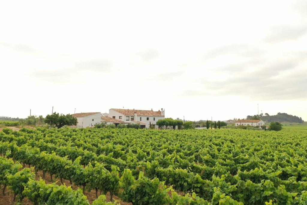 Soul Farm Mas els Igols — photo 1
