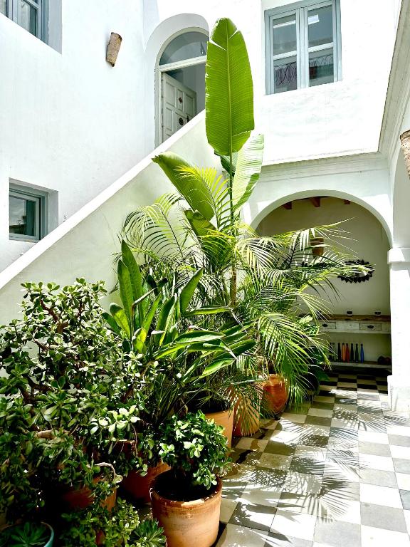Spacious Private Vejer Patio Home — photo 1