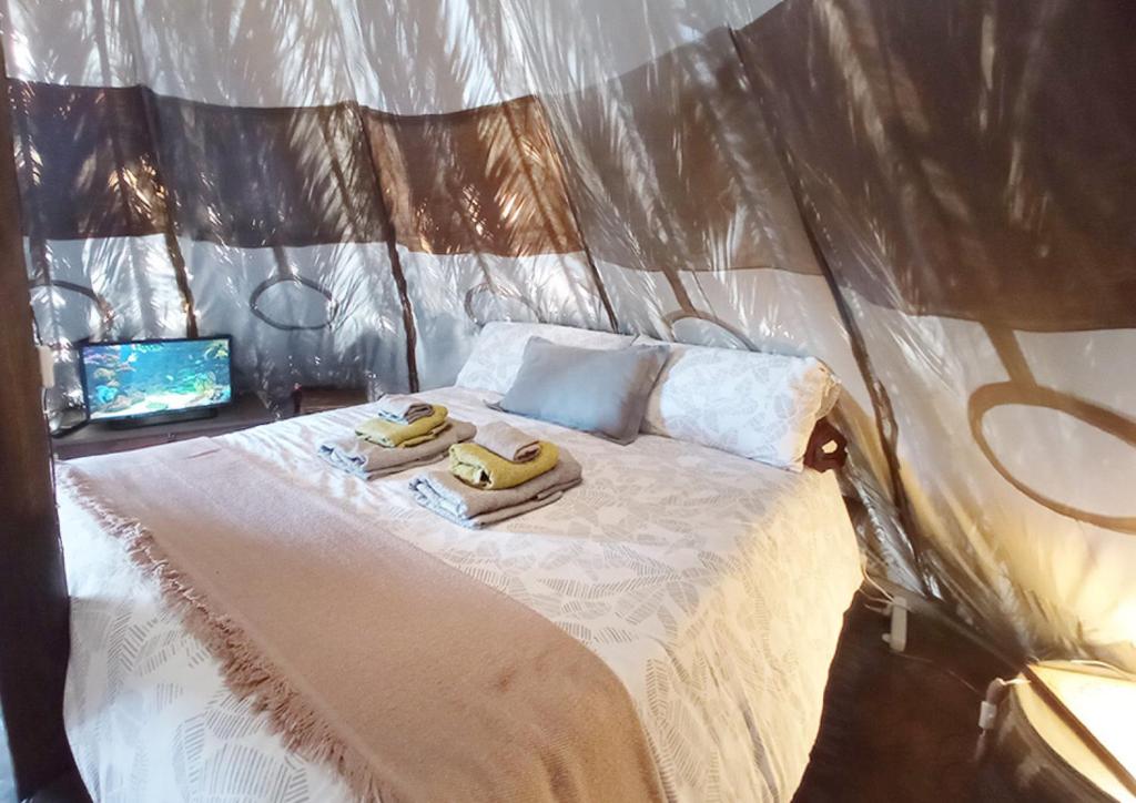 Studio Mazo The Glamping photo 2