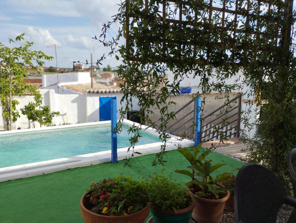 Granja Colibrí photo 2