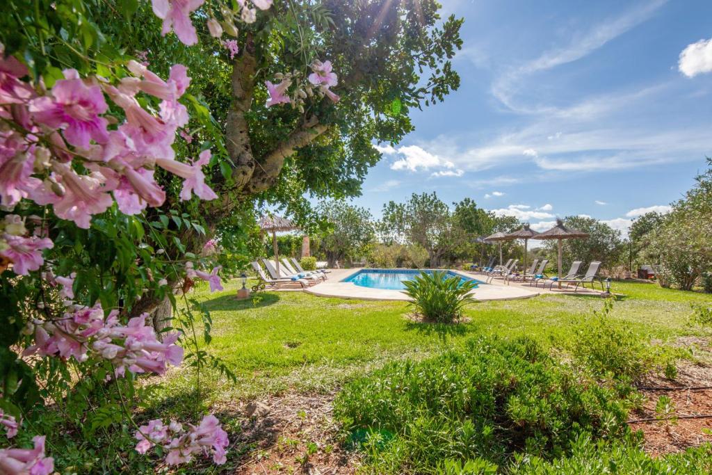 Finca Son Marimon - Adults Only — photo 1
