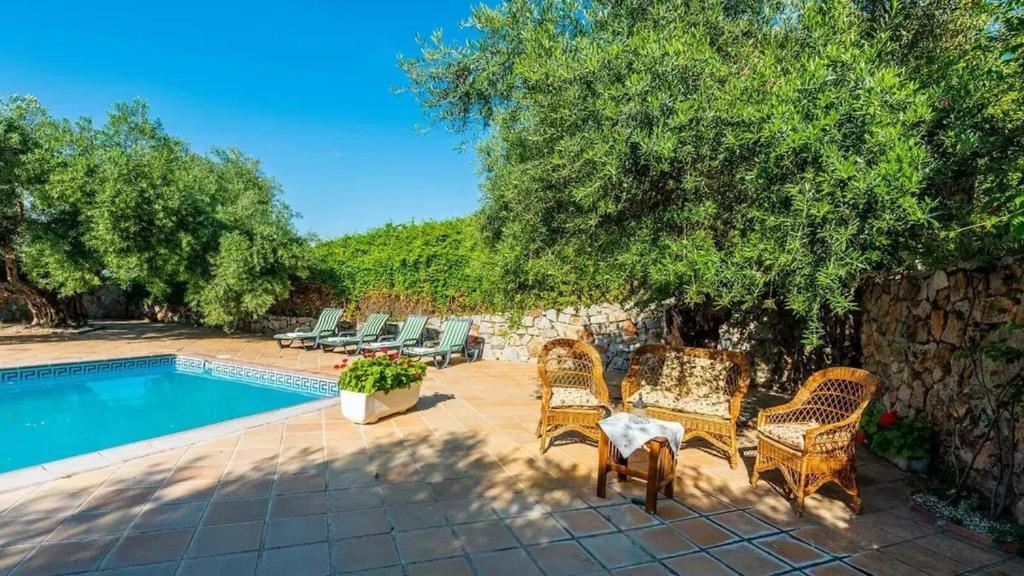 Spacious villa with private pool in Villamartin photo 3