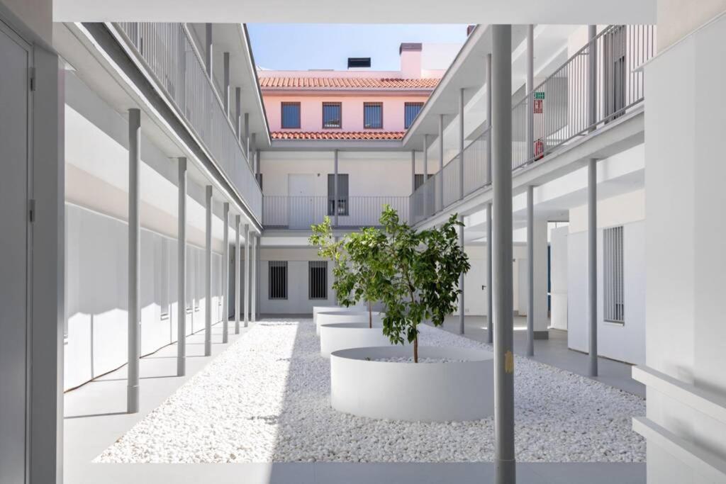 Triana Pages Oasis by Valcambre — photo 1