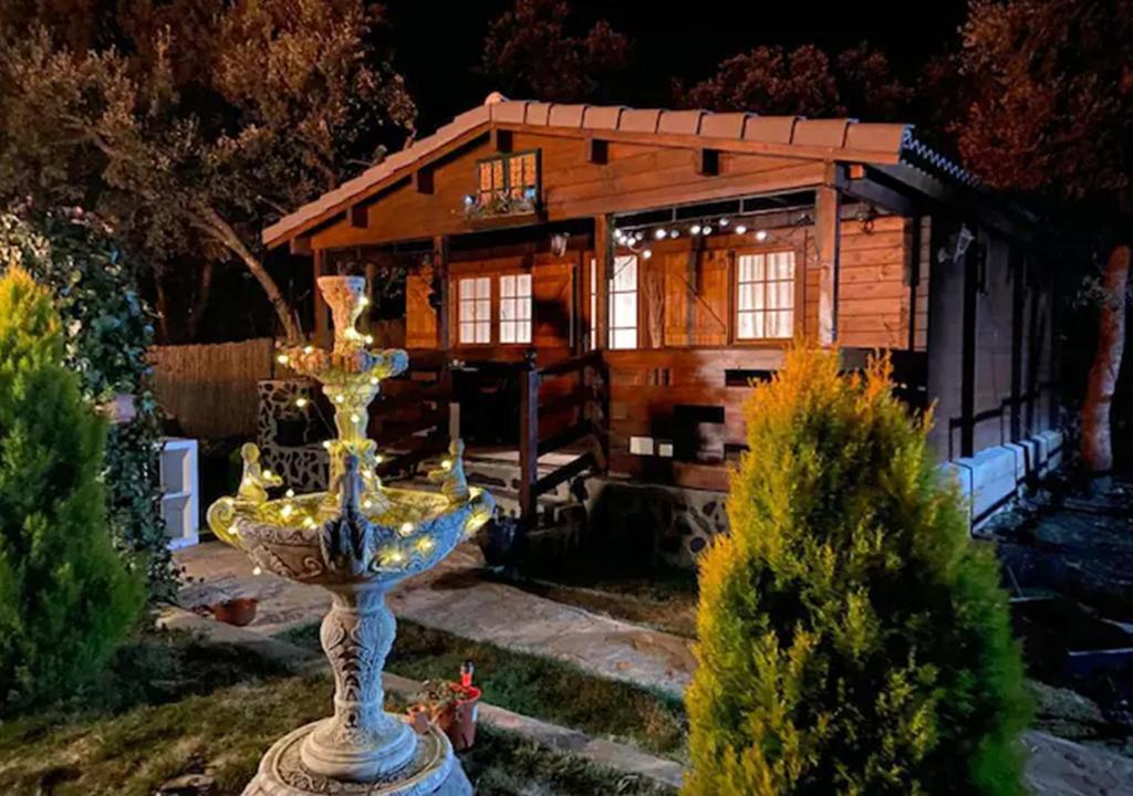 Desconexión y paz — photo 1