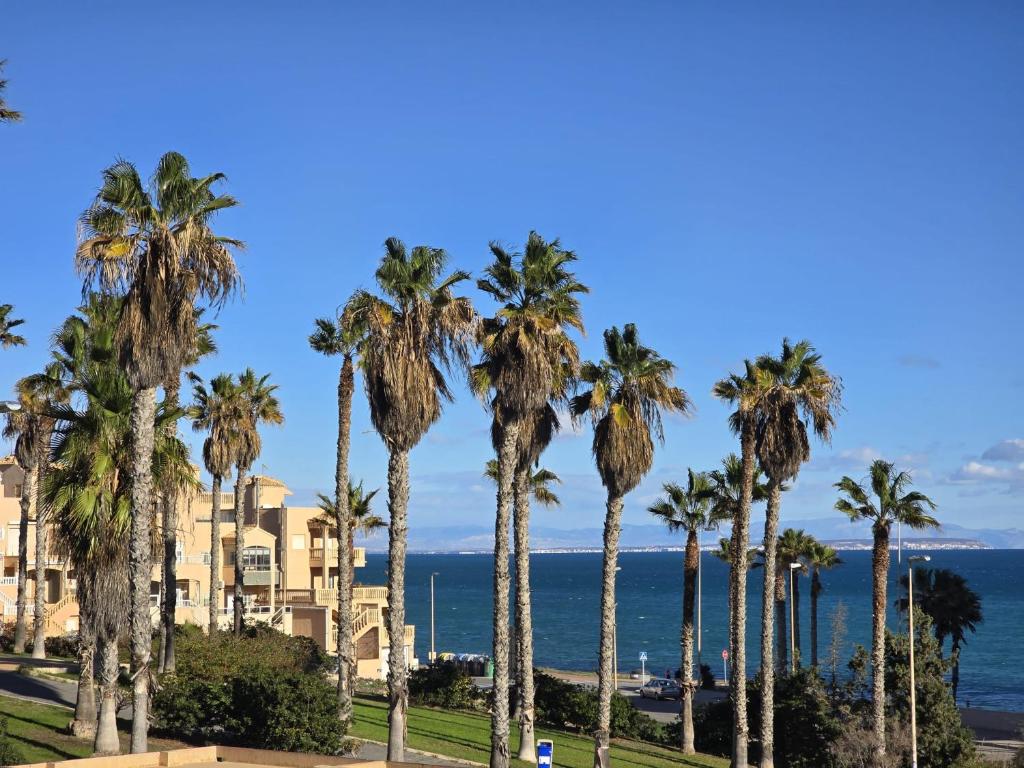 Sunny bungalow La Mata with sea views — photo 1