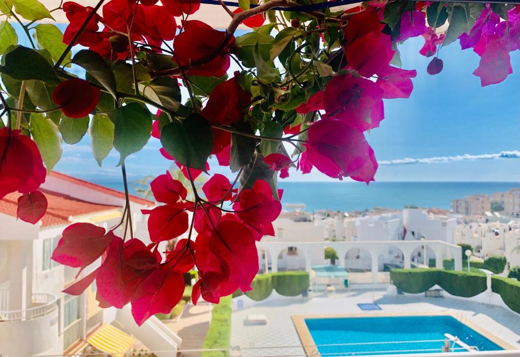 SEAVIEW La Mata pool&beach — photo 1