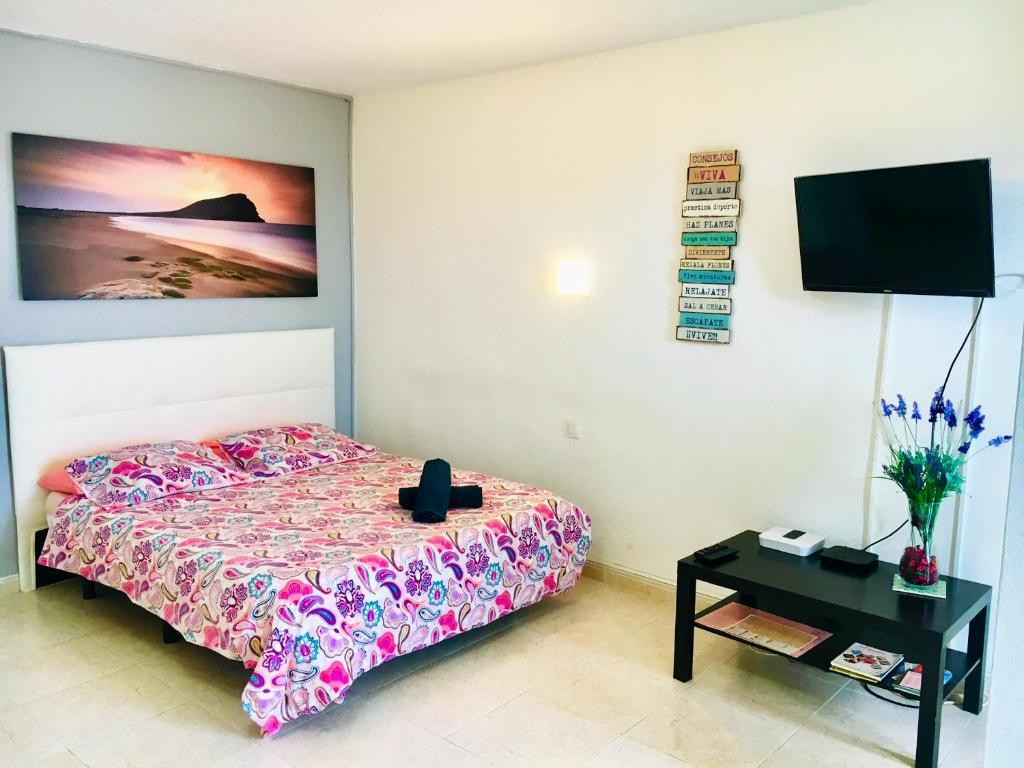 Charming studio in San Marcos photo 2