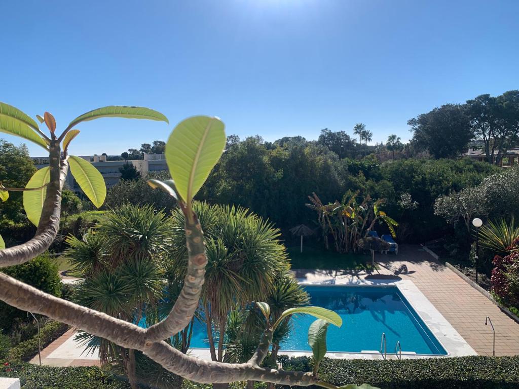 Sotogrande Duplex near Polo — photo 1