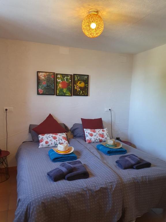 Casita of Casa Olivar photo 2