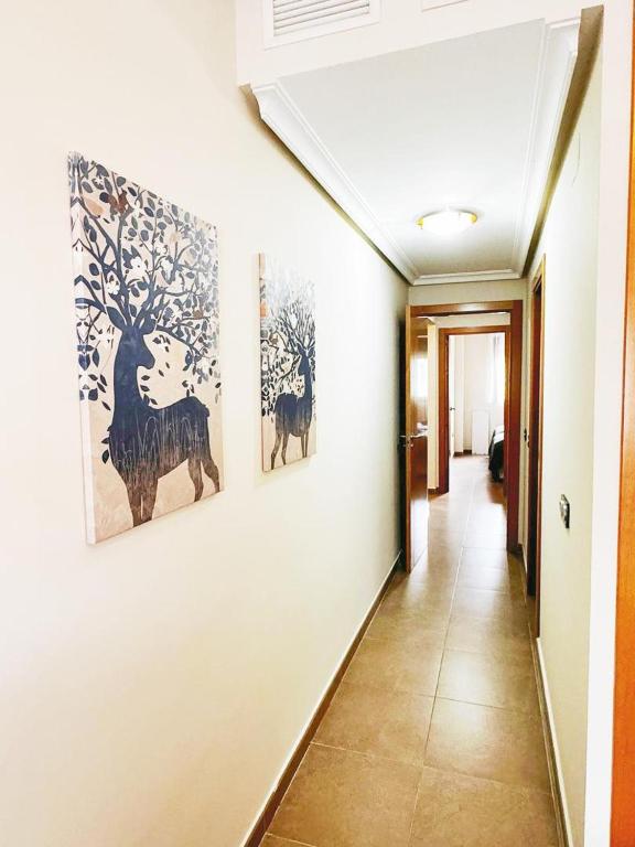 SOL ZEN HOME photo 2