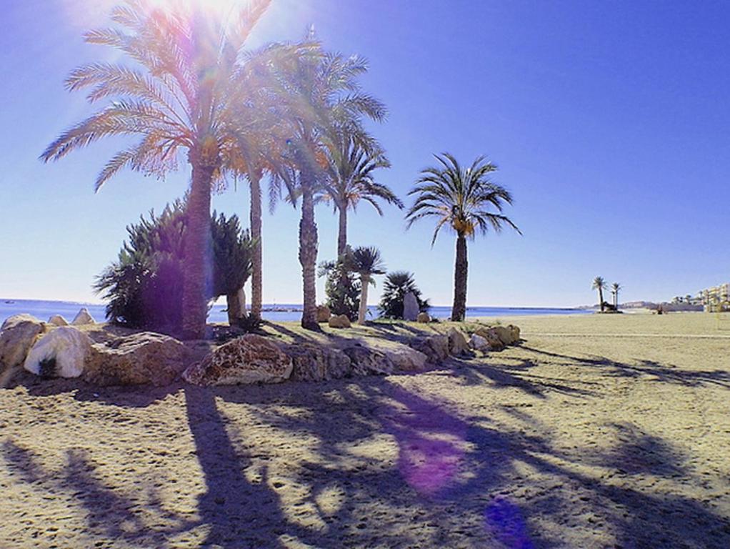 Sunny Coastal 1 Bed Apartment - Vera Coast: 2mins to Beach — photo 1
