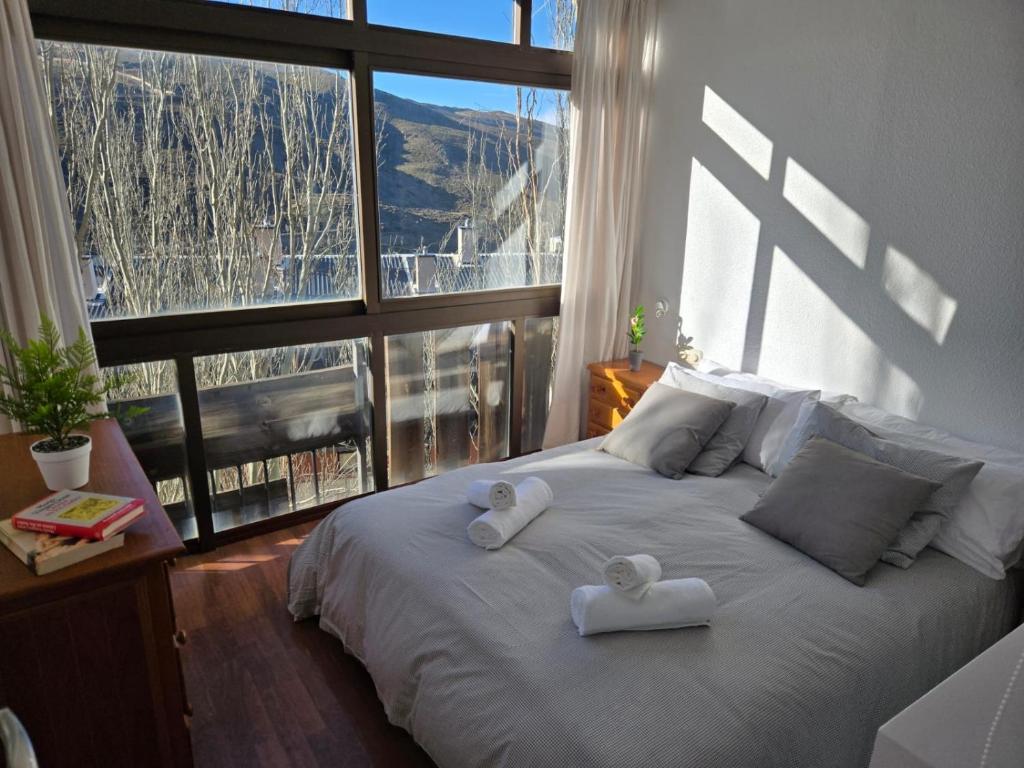 Casa Ski photo 2