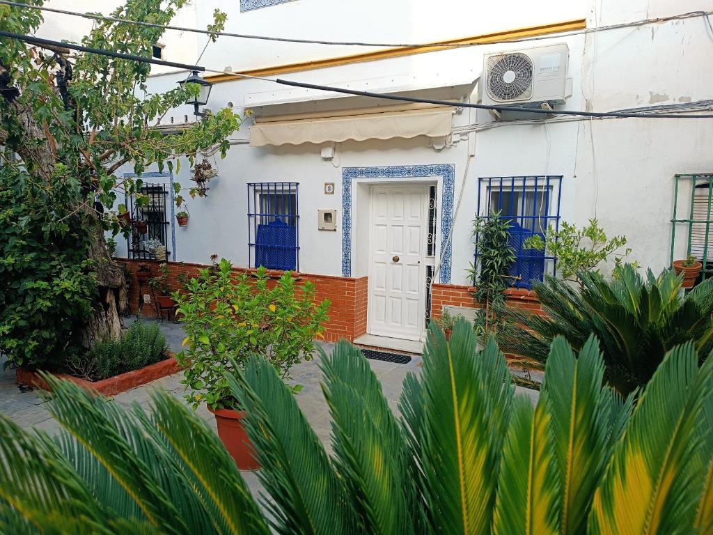 Típico y pintoresco patio de vecinos photo 2