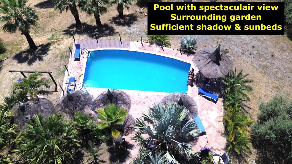 Tiny house 12m2 "ANTON PIECK" in holiday park with 55 m2 pool photo 2