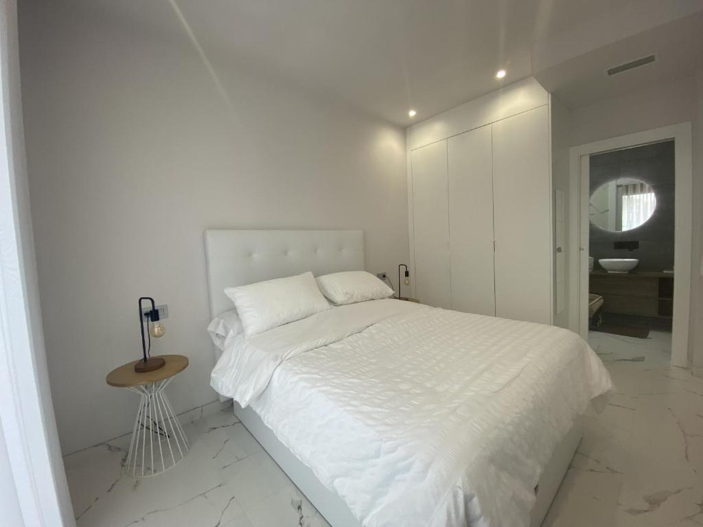 Apartamento San Pedro del Pintar photo 2