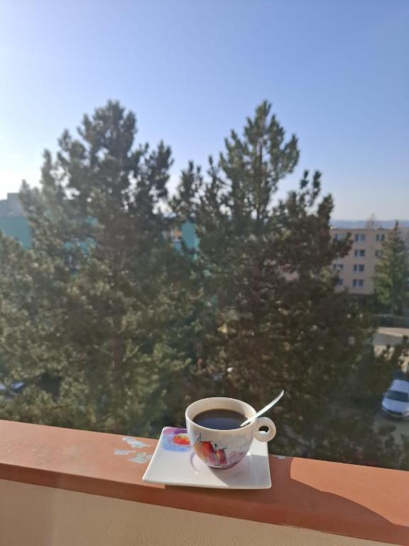 Apartamento playa Canteras y piscina photo 2