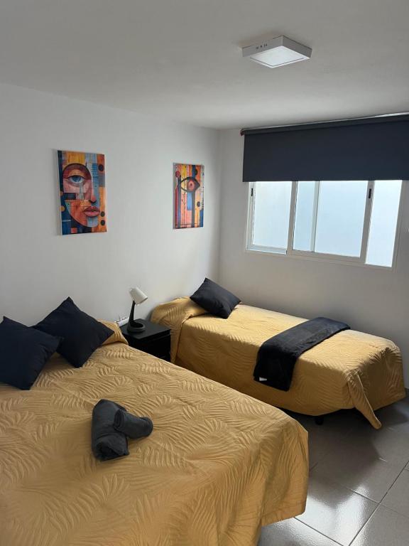 Canteras Penthouse by Misser photo 2