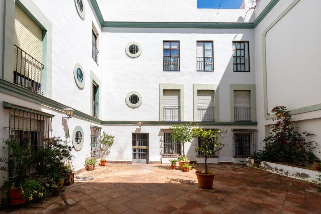 San Isidoro Olehousing photo 3