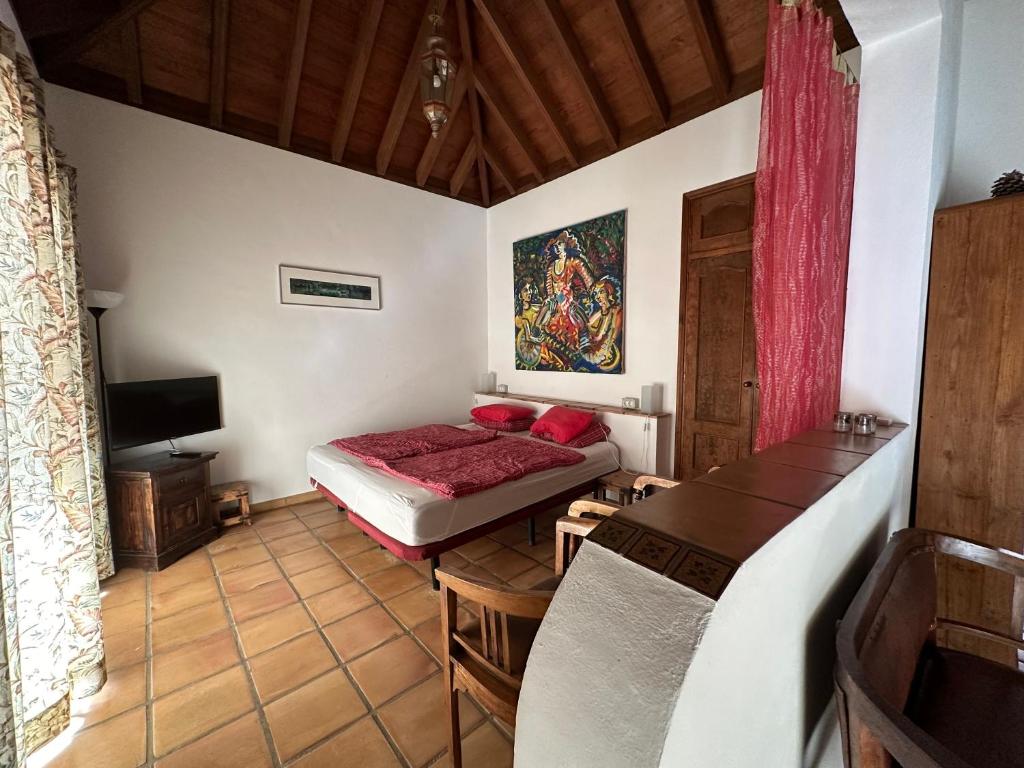 SUITE GECO by La Gomera Deluxe photo 2