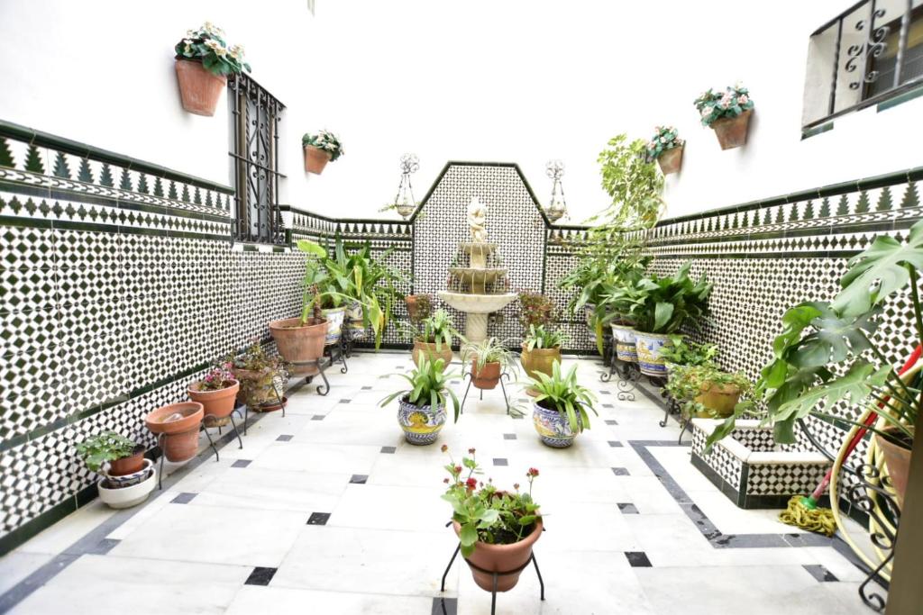 TRIANA LOS PRINCIPES — photo 1