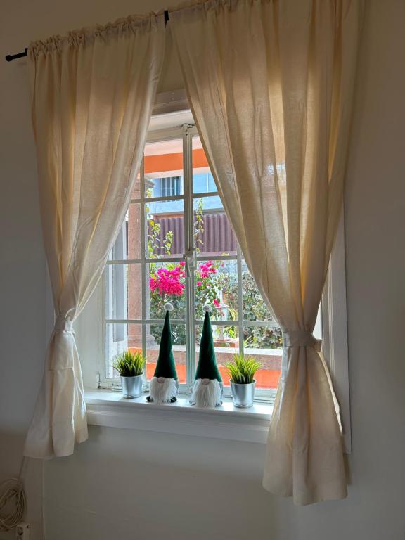 Guesthouse Casa DEL RIO photo 3