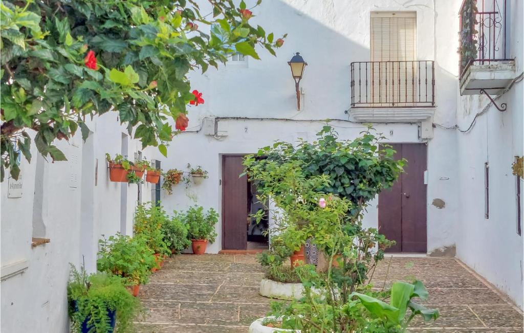 Awesome Apartment In Vejer De La Frontera — photo 1