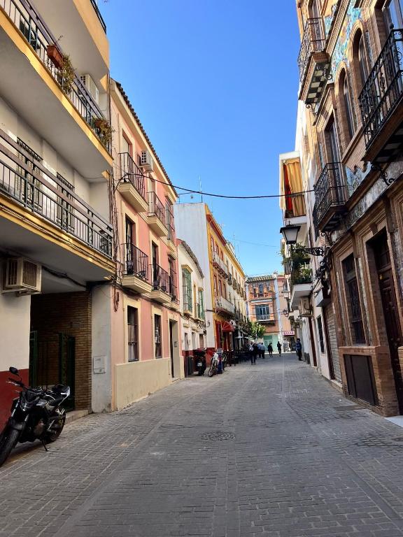 Rodrigo — photo 1