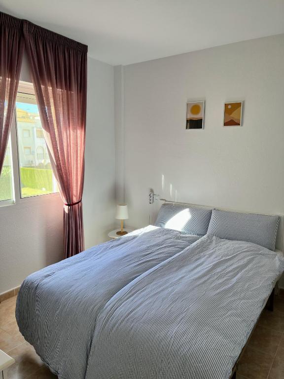 Torrevieja 2 bedrooms Appartment photo 2