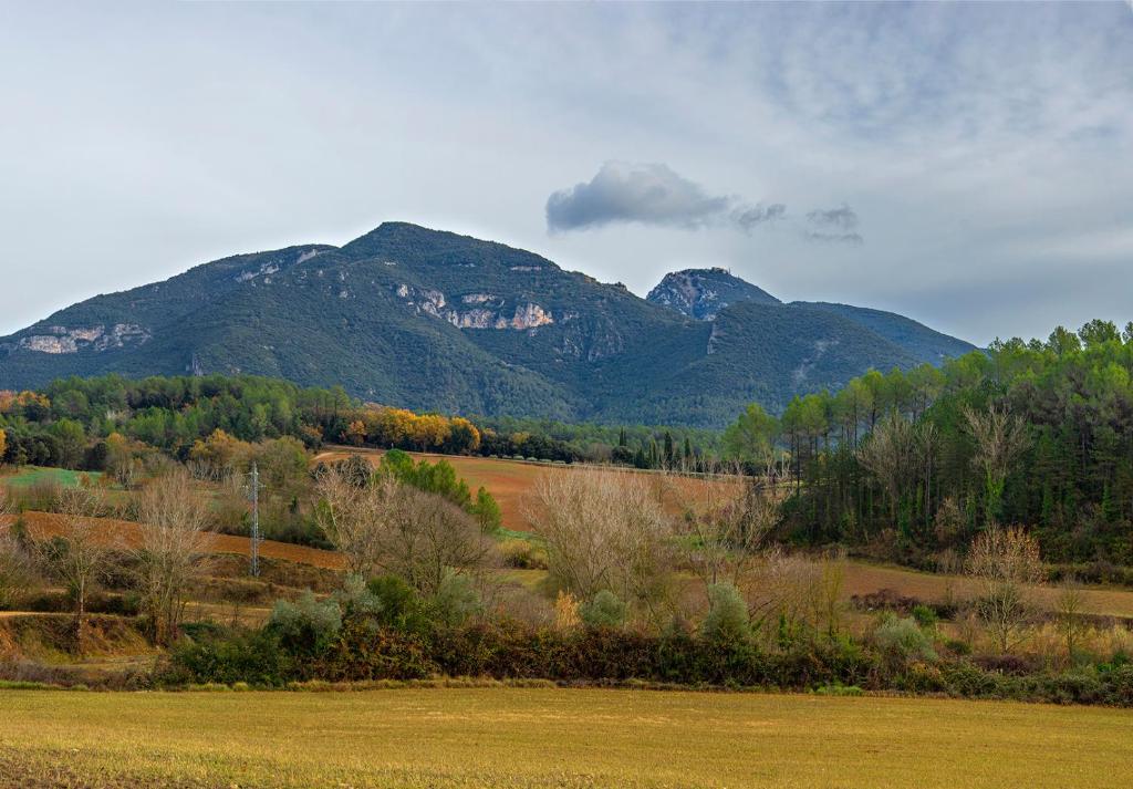 Ca La Rosita photo 3