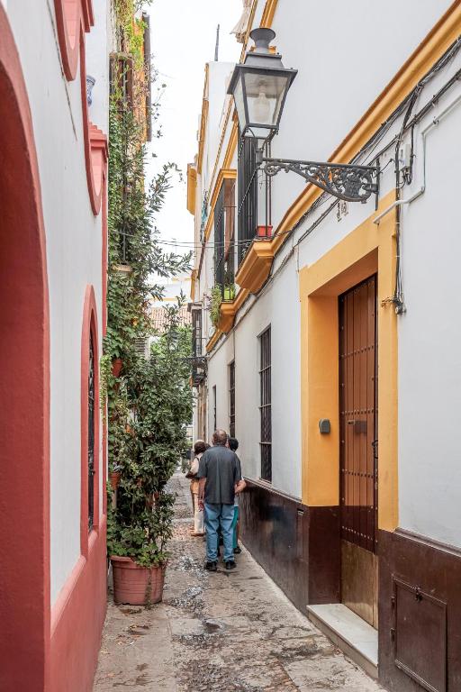 Susona - Oasis de paz en barrio Santa Cruz — photo 1