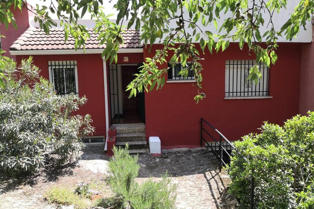 Susan Home — photo 1