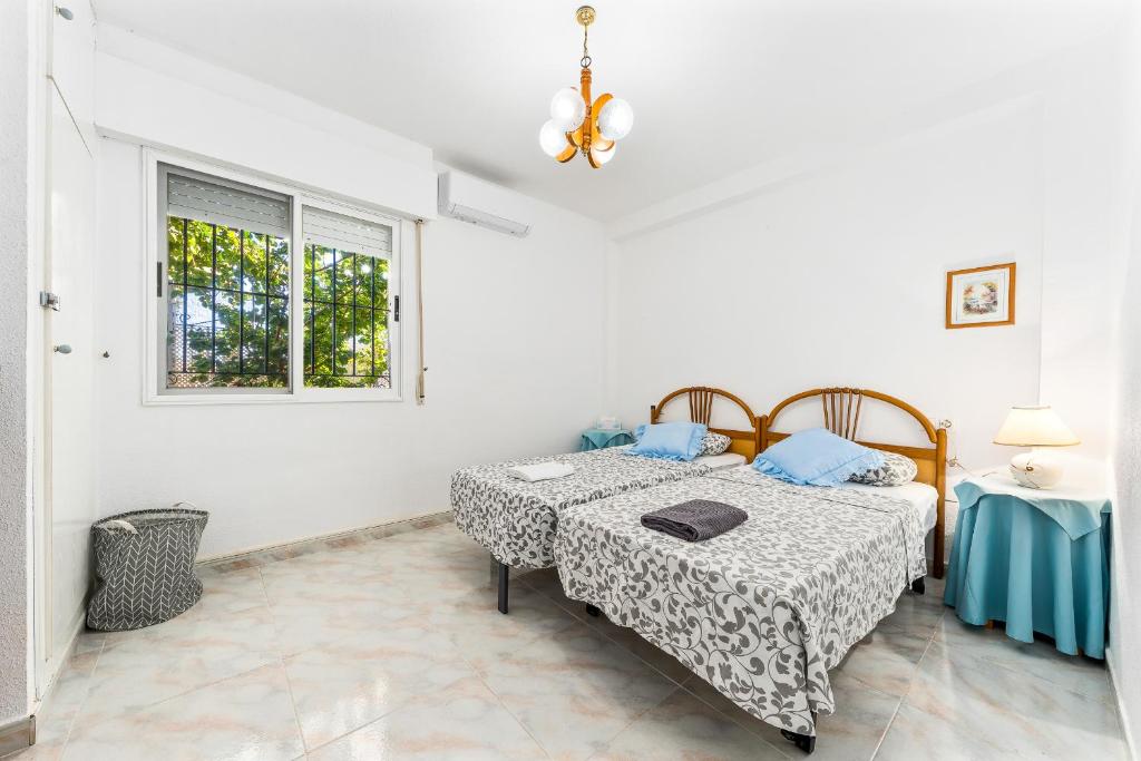 The lemon tree house photo 2