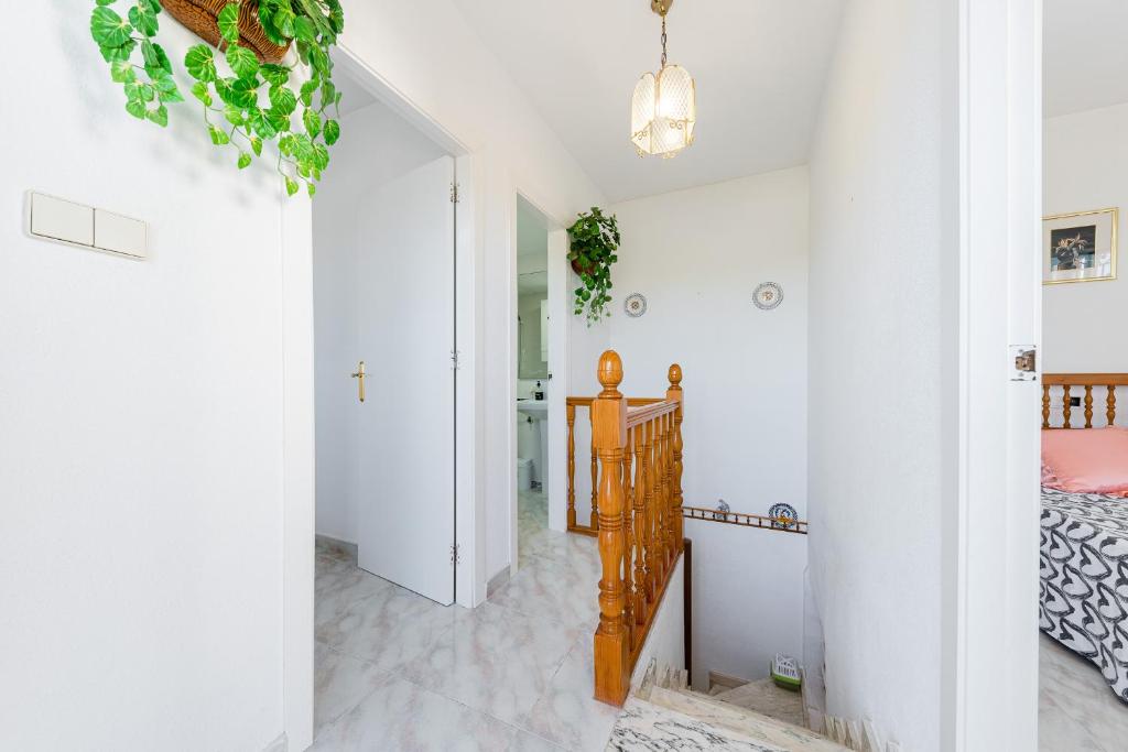 The lemon tree house photo 3