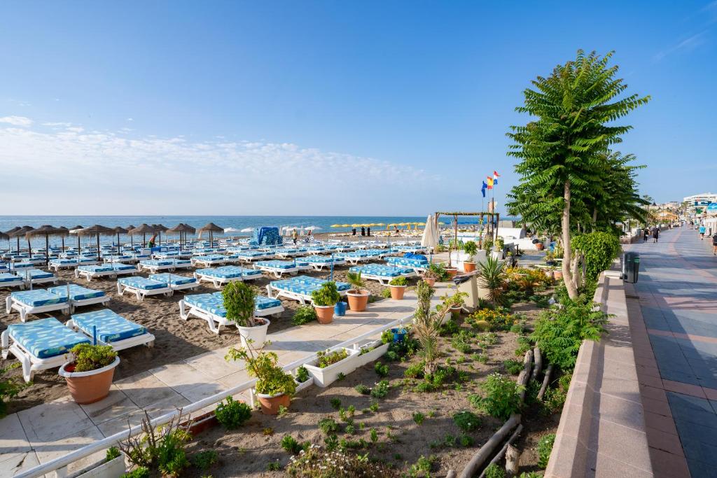 PLAYA CARIHUELA Estudio Rey EL CARMEN — photo 1