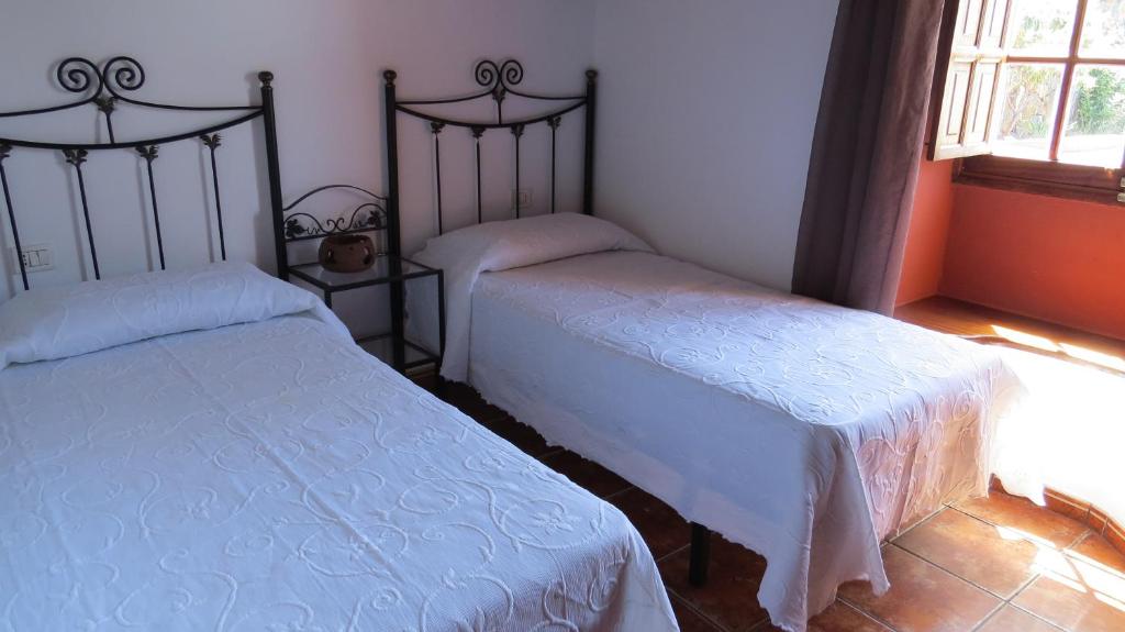 TIAROSALIA photo 2