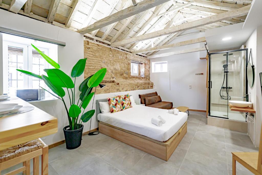 Trinitarios Apartment photo 3