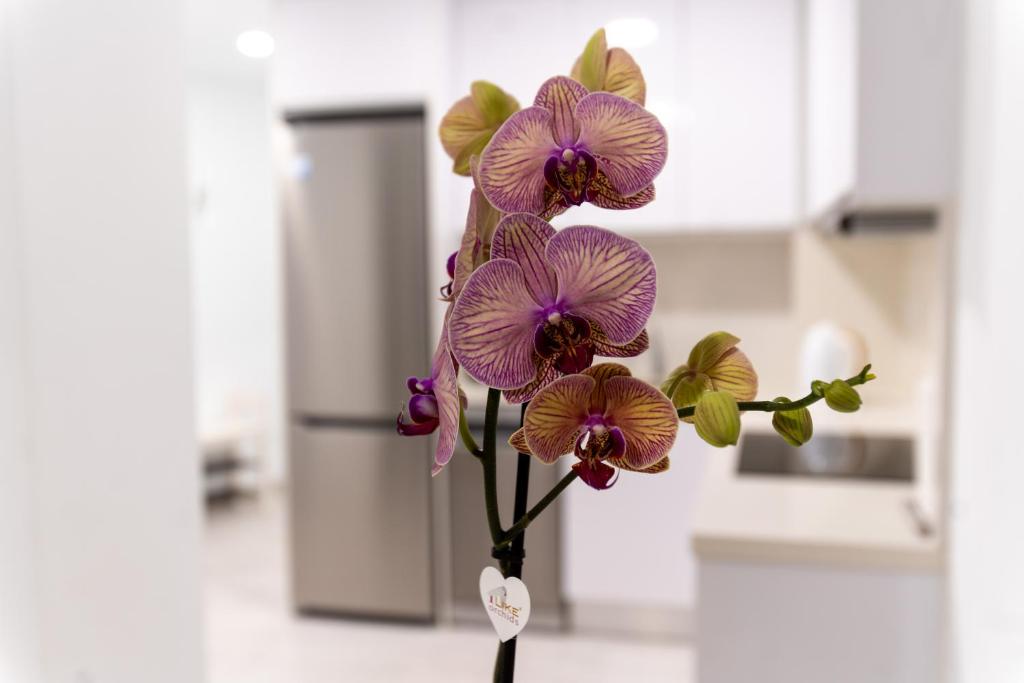 Las Canteras Beach at Marina 19 photo 3