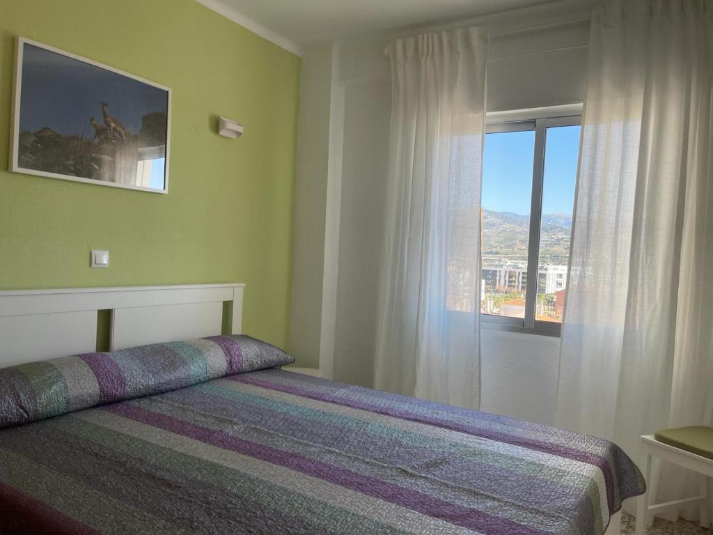 Terrasol Roma photo 2