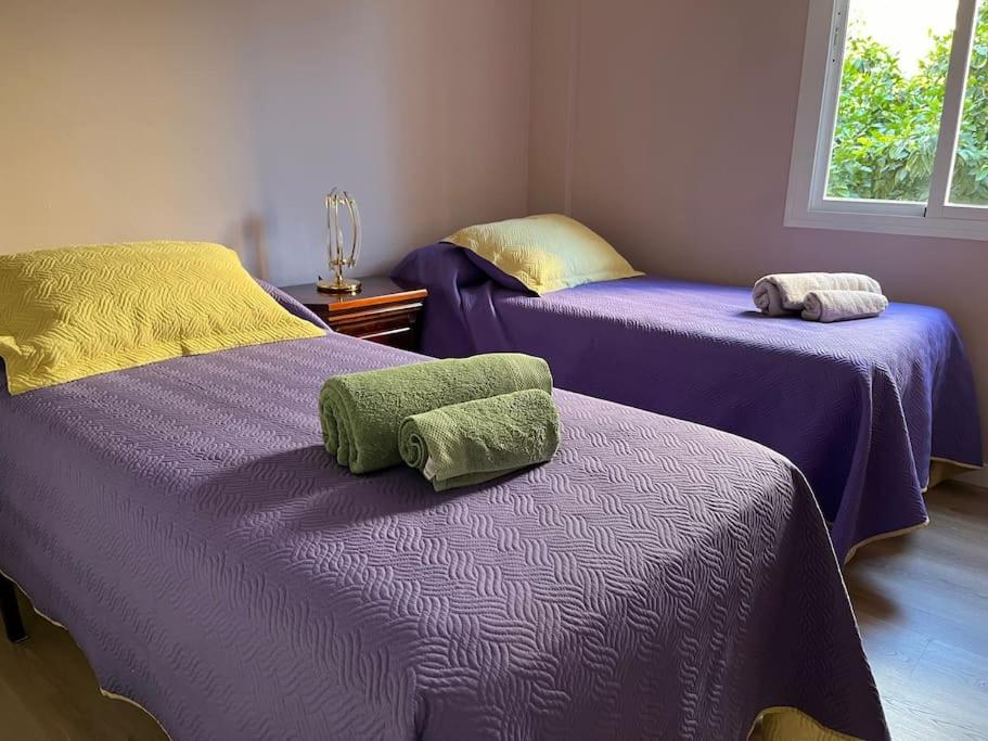 Triana Family suites photo 2