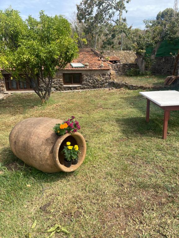 Rural House to take a Break — photo 1