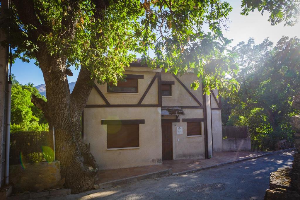 El Roble Mocho — photo 1