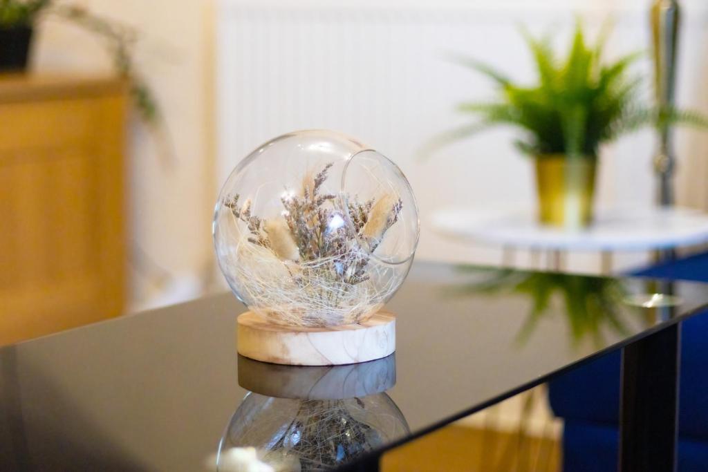 MK SHORTSTAY DELUXE- Conniburrow photo 3