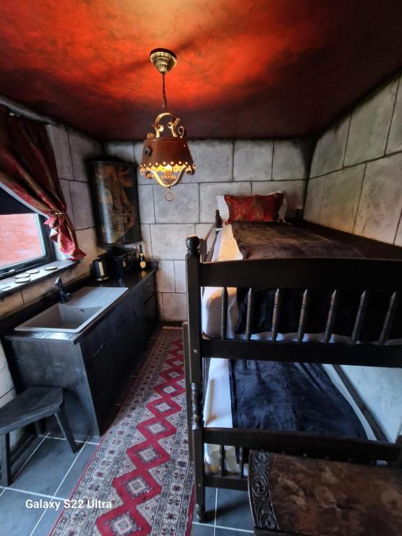 Transylvania House photo 2