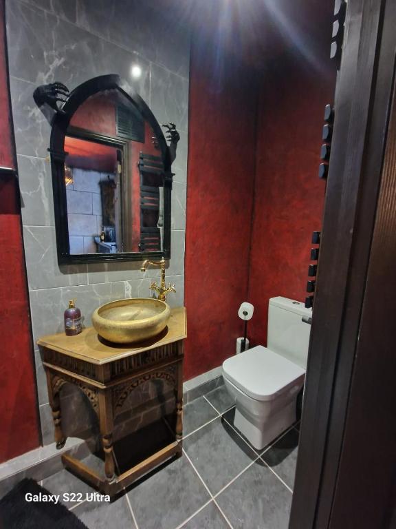 Transylvania House photo 3