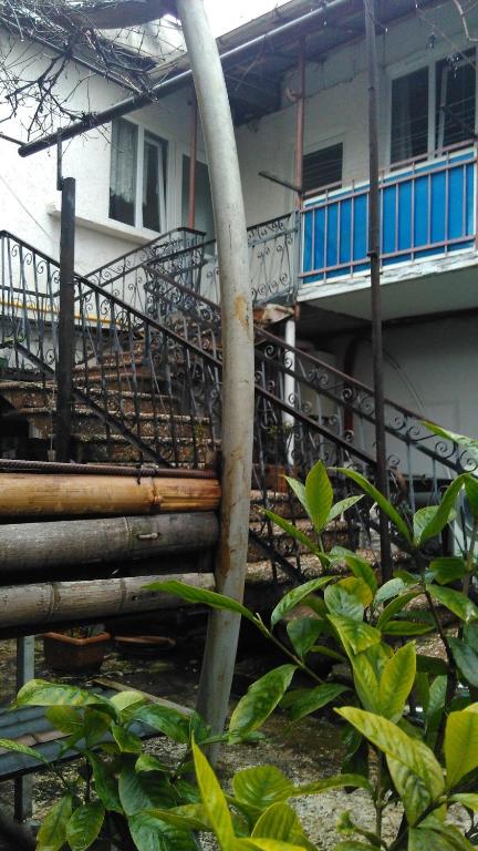 David's house — photo 1