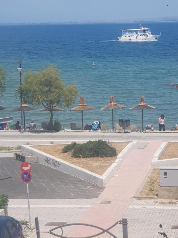 Perea 5 star — photo 1