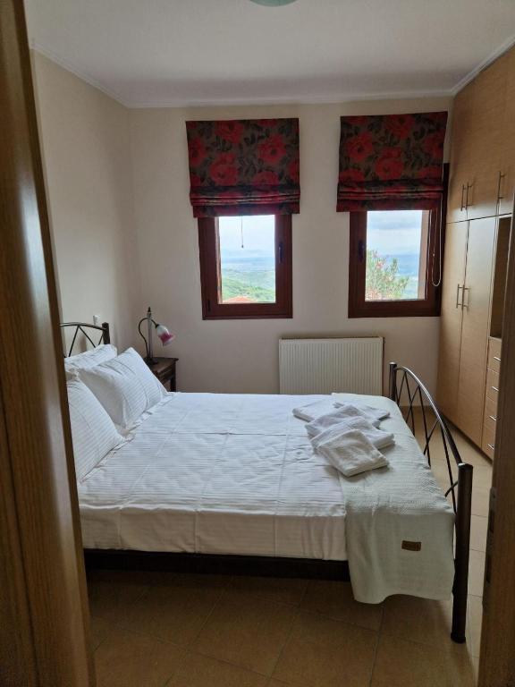 Apartment in Plastira Lake photo 2