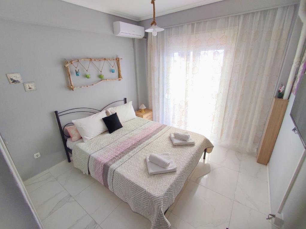 DriftWood Center Apartment — photo 1