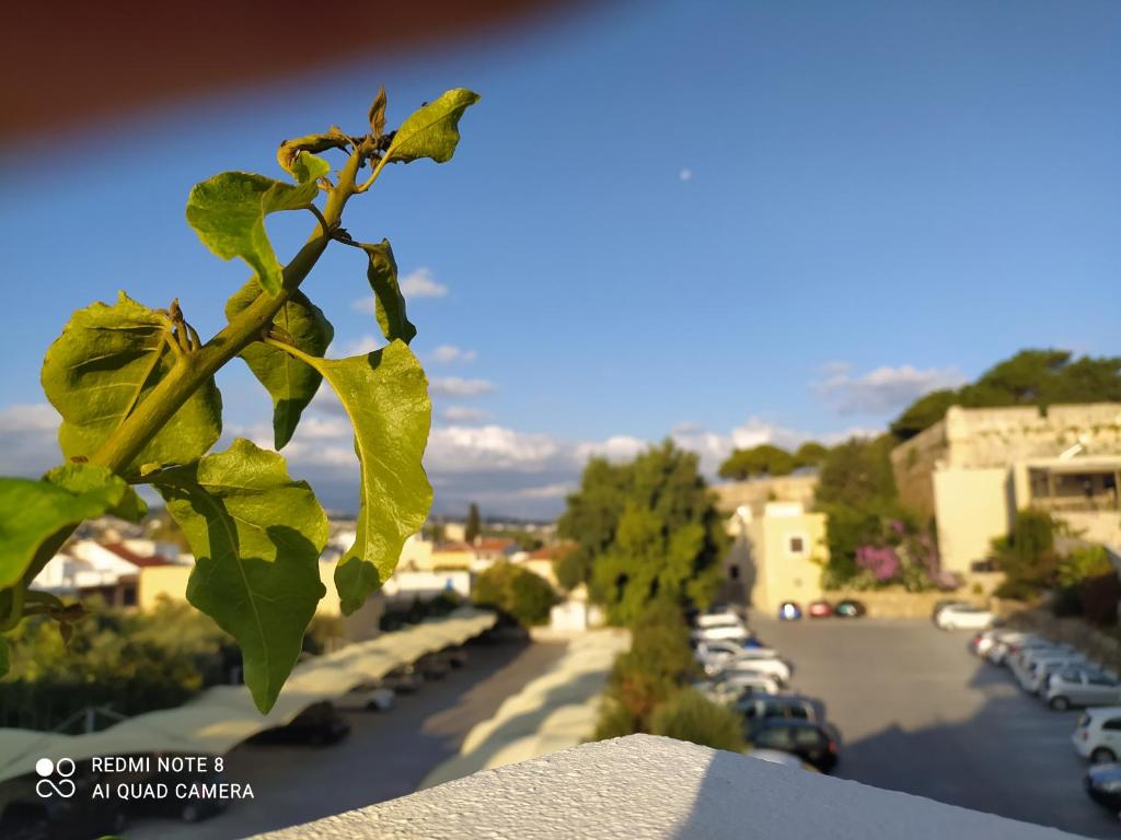Studio old town Rethymno — photo 1
