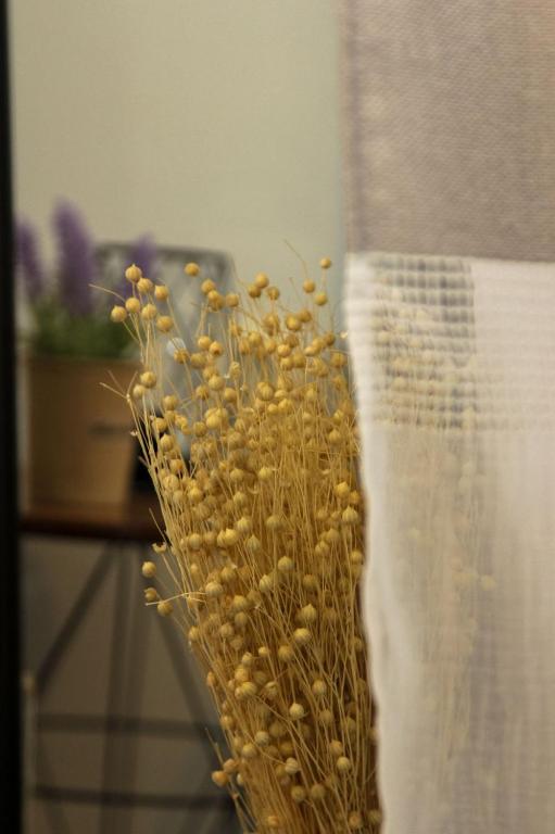 Johnny's apartment photo 3